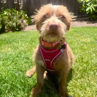 Niffty