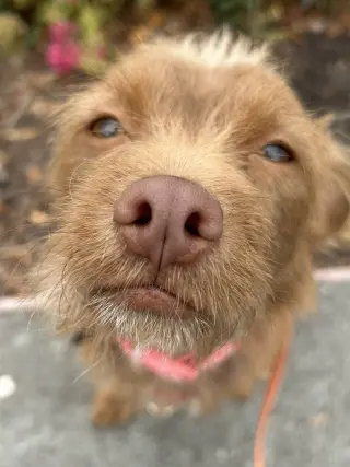 Niffty