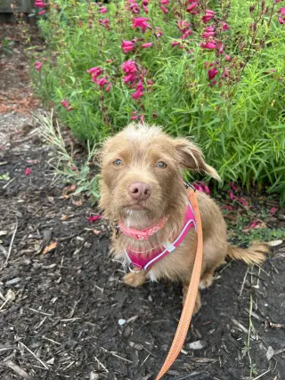 Niffty