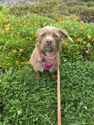 Niffty