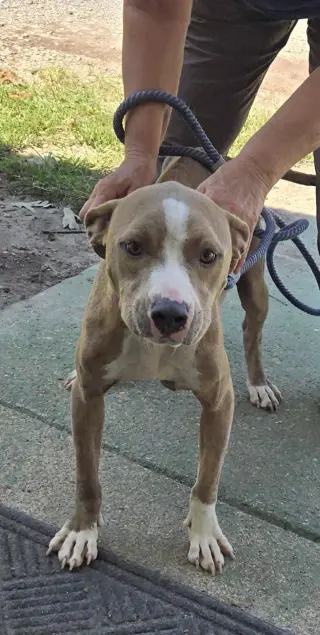 Valley - At shelter available 9/21
