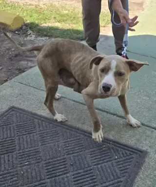 Valley - At shelter available 9/21