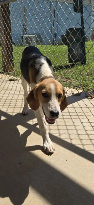 Printer - At shelter available 9/22