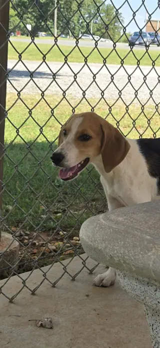 Printer - At shelter available 9/22