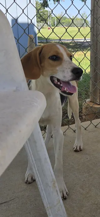 Printer - At shelter available 9/22