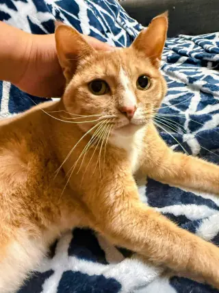 RouRou (Courtesy Post)