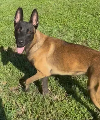 Ragnar - FL - COURTESY POST