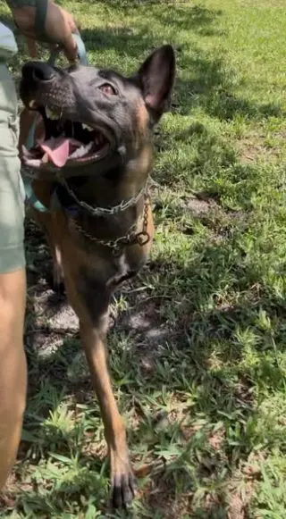Ragnar - FL - COURTESY POST