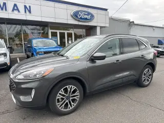 Ford Escape 2020 AWD SEL 4dr SUV