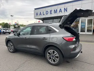 Ford Escape 2020 AWD SEL 4dr SUV