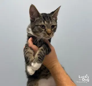 Alan