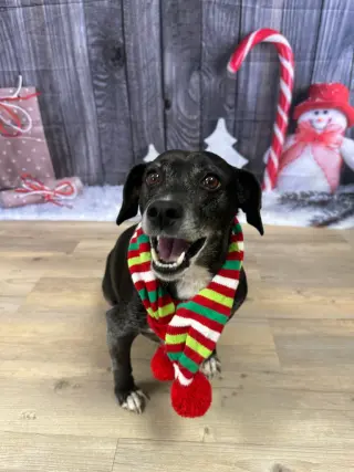 Jack (Courtesy Post)