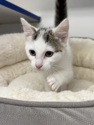 Dolly 3 months