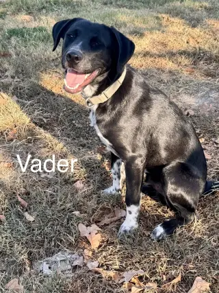 Vader Dot