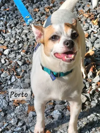 Porto