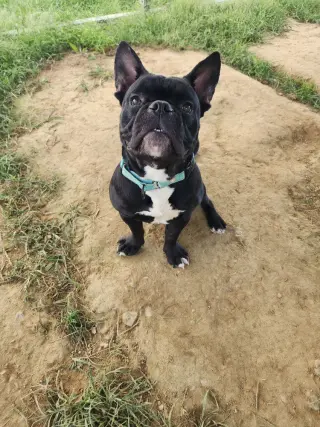 Peter