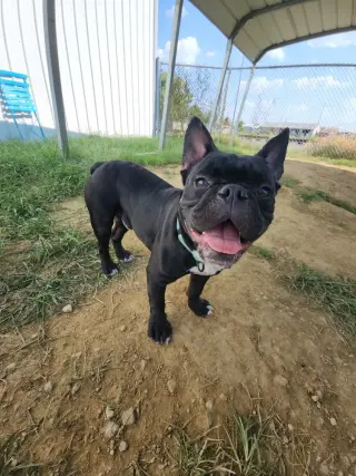Peter