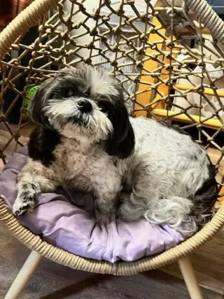 Maggie