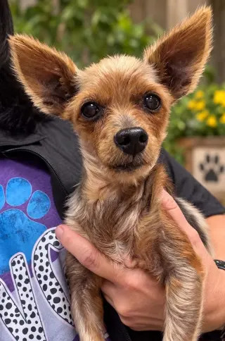 Max