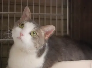 YUKI