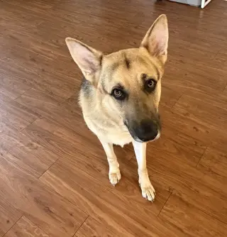 Titus