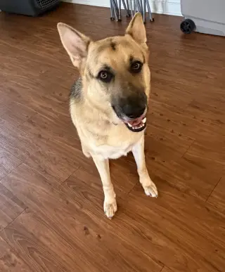Titus