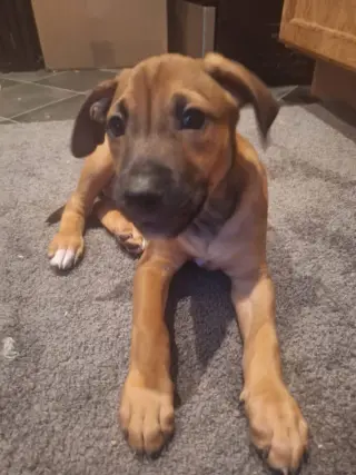 Chloe