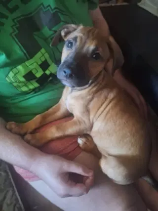 Chloe