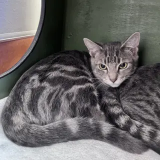 Frito & Dorito