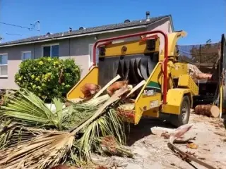 Poda de Árboles y Jardines