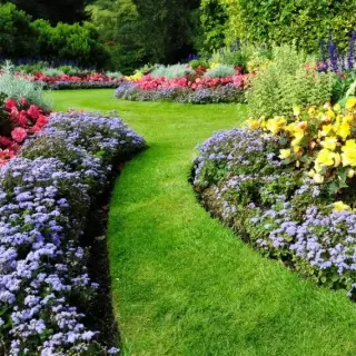 Poda de Árboles y Jardines