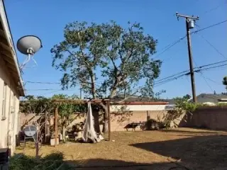Poda de Árboles y Jardines