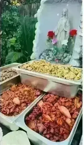Ricas Taquizas para Fiestas 🌮