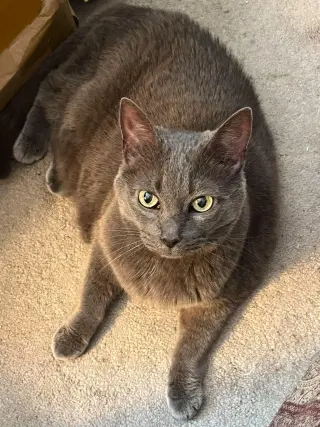 BAYLEE