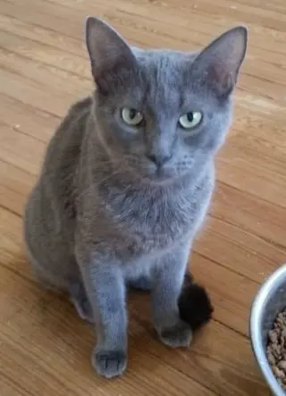 BAYLEE
