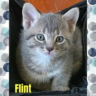 Flint