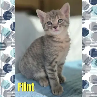 Flint