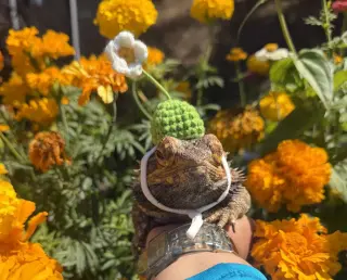 Morty