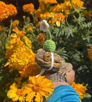 Morty