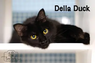 Della Duck
