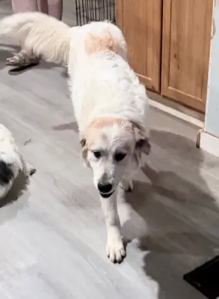 Betty