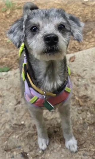 Gwen