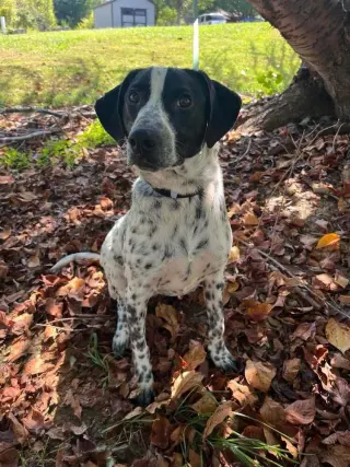 Axel