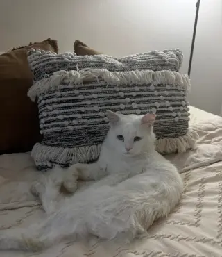 Casper