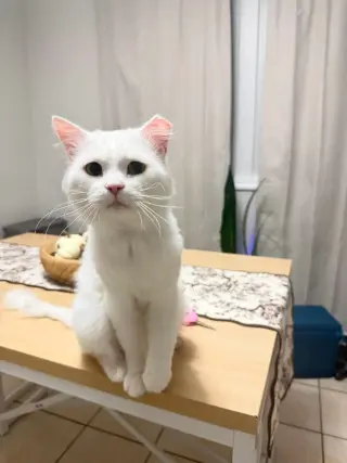 Casper