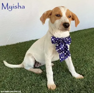 Myisha
