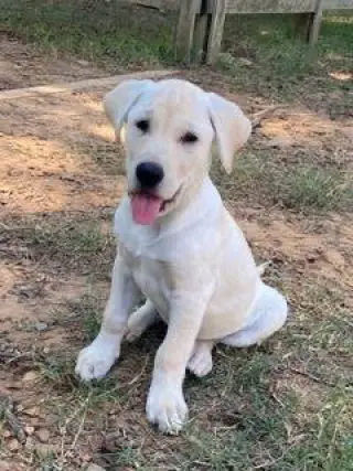 George