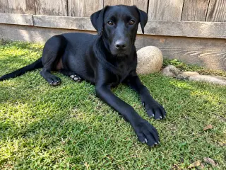 Sophie