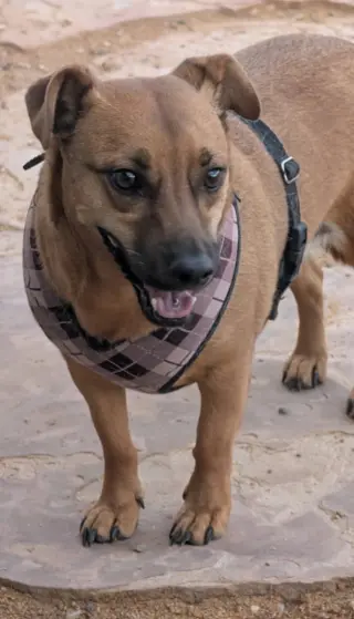 OTI