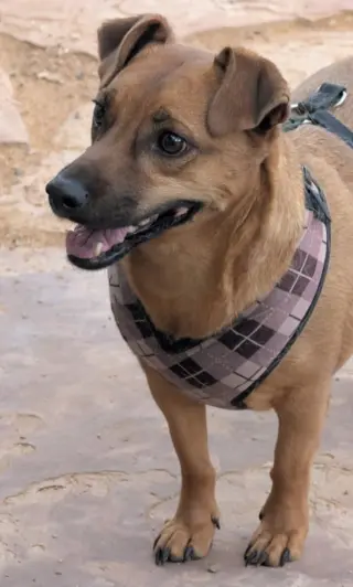 OTI